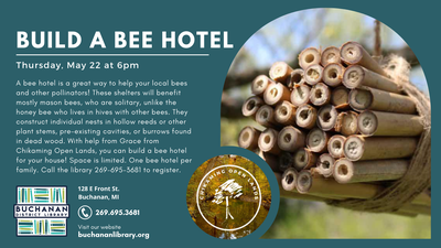 Build a Bee Hotel