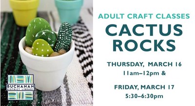 ADULT CRAFT- CACTUS ROCKS