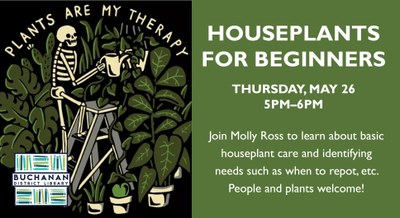 Houseplants for Beginners Houseplants for Beginners
