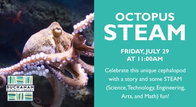 OCTOPUS STEAM OCTOPUS STEAM