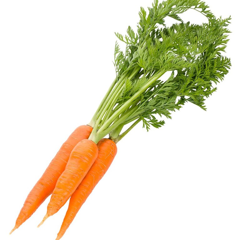 Carrot.jpg