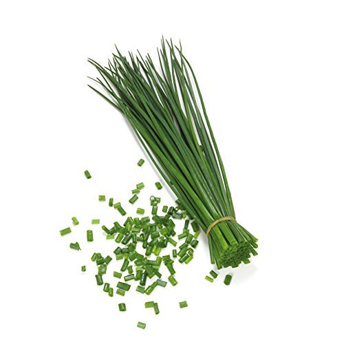 Chives.jpeg