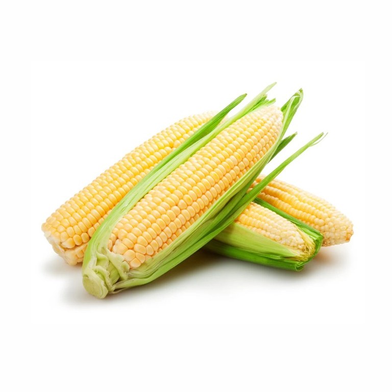 corn.jpg