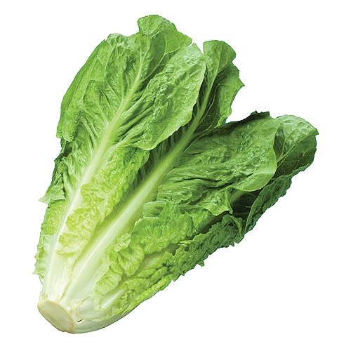 lettuce romaine.jpg