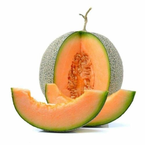 Melon - Cantaloupe.jpg