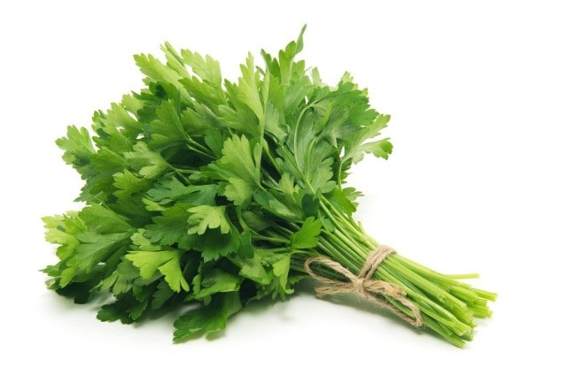 Parsley.jpeg