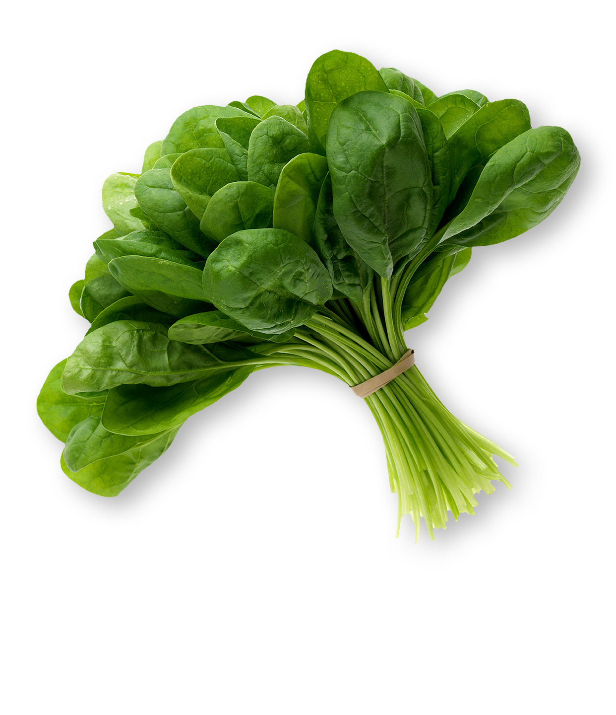 Spinach.jpg