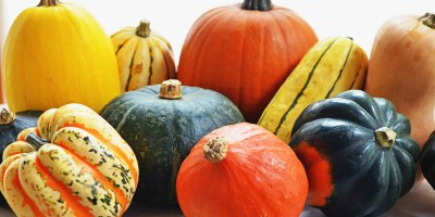 Squash - Winter.jpg
