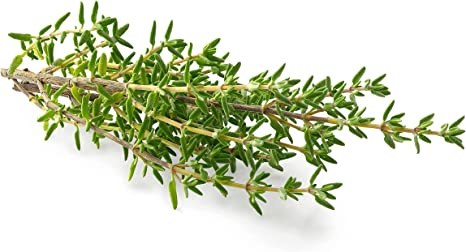 Thyme.jpg