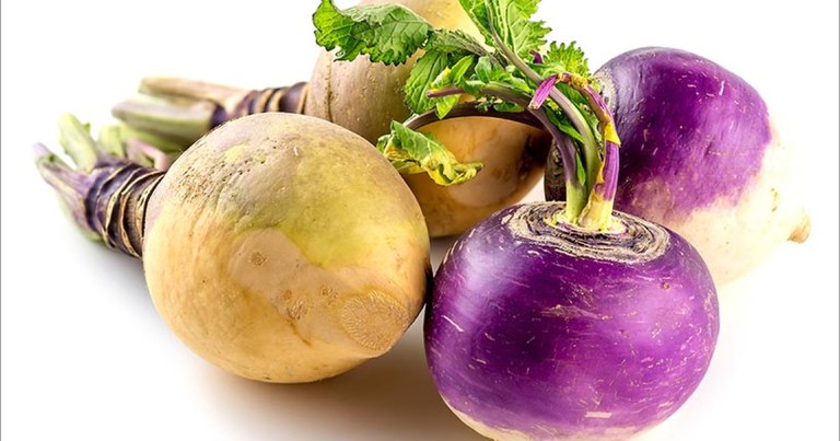 Turnip.jpg