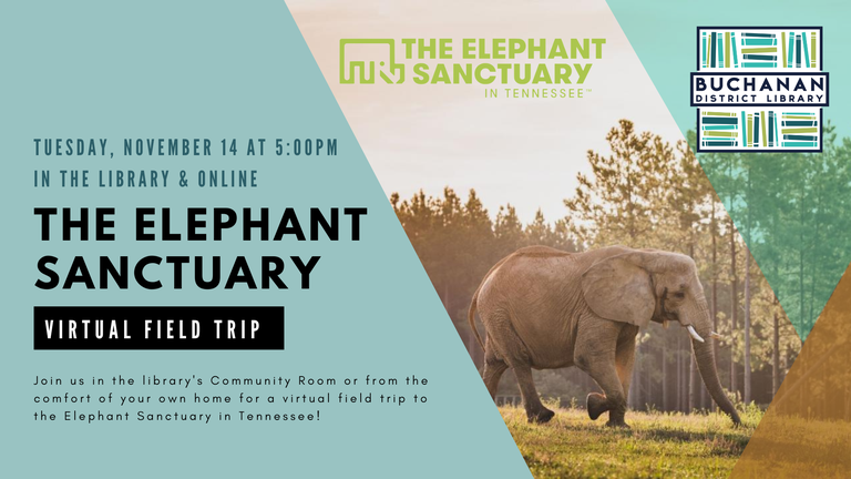 11-14 elephant sanctuary 2023.png