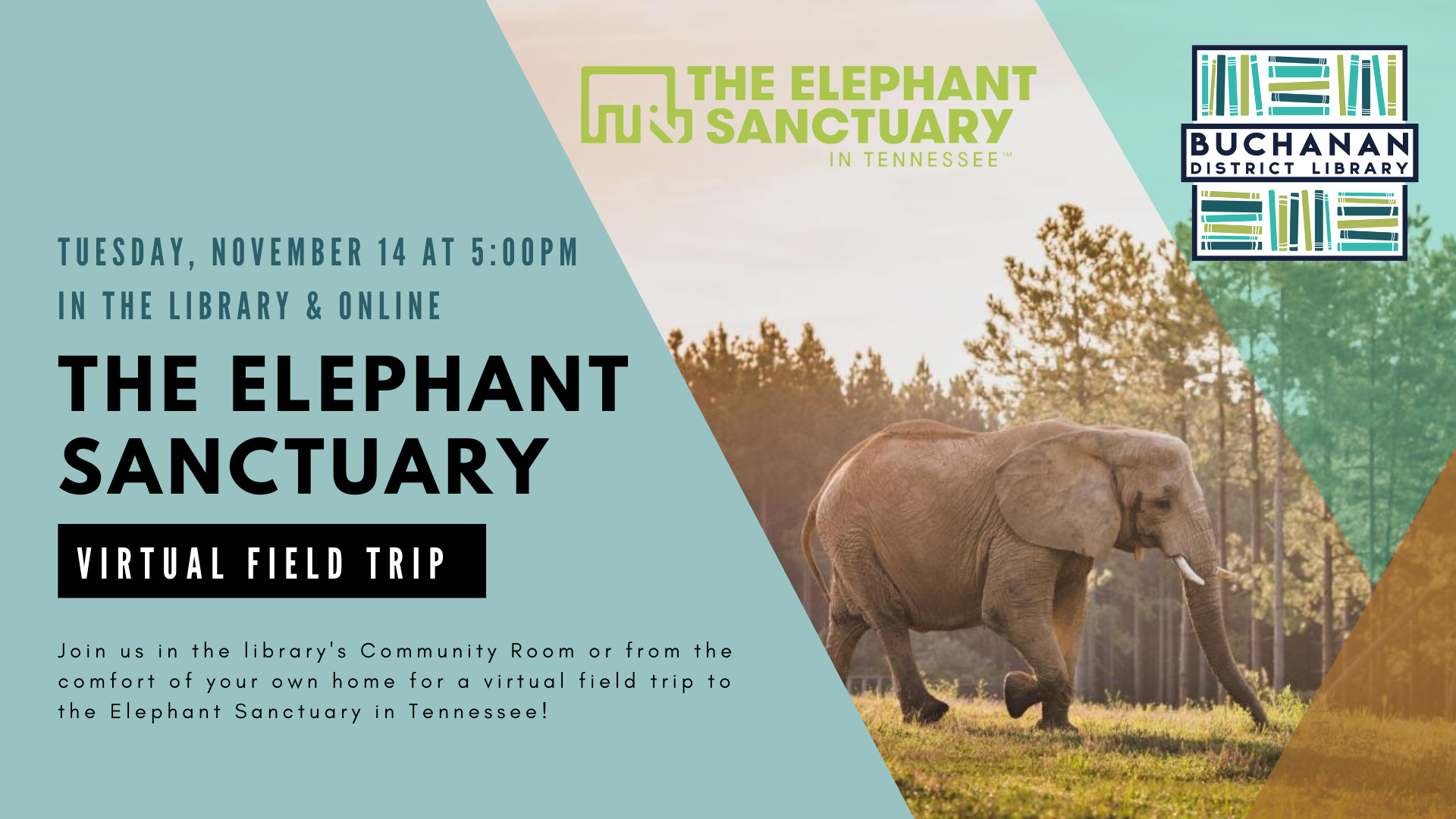 11-14 elephant sanctuary 2023.png